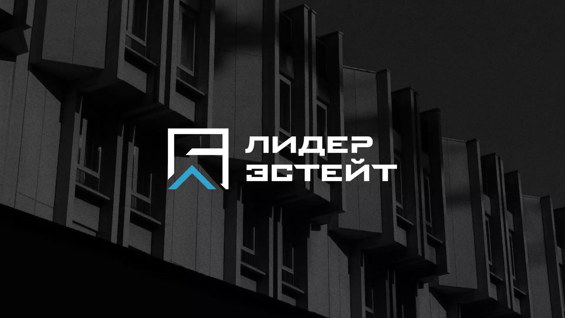 Разработка логотипа агентства недвижимости «Лидер Эстейт» в Одинцово